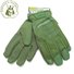 Перчатки MW Fastfit Olive (Размер перчаток - XL (11, 23-24 см))