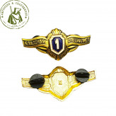 Значок МО Классность 1