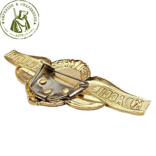 Значок Классный специалист Мастер