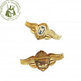 Значок Классный специалист Мастер